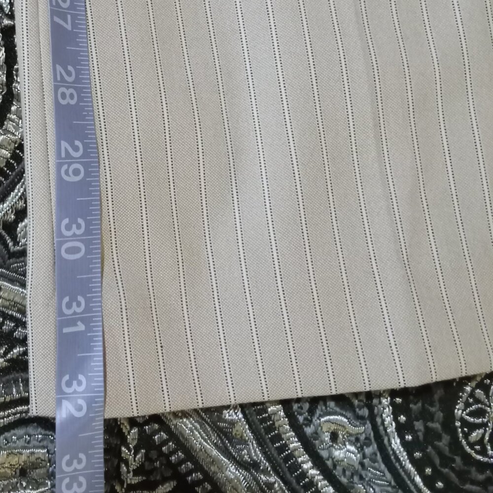 Express Design Studio "Editor" Slacks Beige W/Whi… - image 4